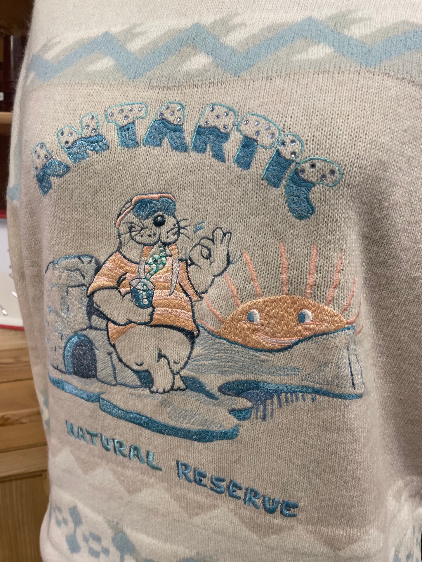 Maglione in lana anni 90 con ricamo "Antartic"